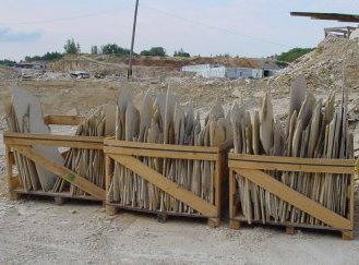 Wissenswertes über Solnhofen Fossilien